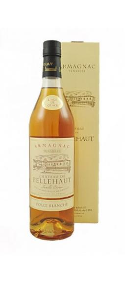 L'age De Glace Aramagnac, Chateau De Pellehaut