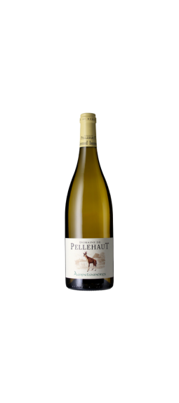 Ampelomeryx Domaine de Pellehaut