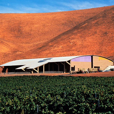 Nielson Vineyards image