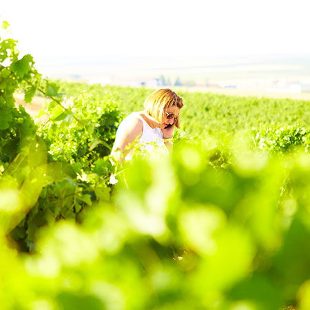 Diez Siglos de Verdejo Diez Siglos de Verdejo image