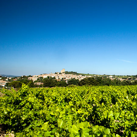 Domaine Chante Cigale image