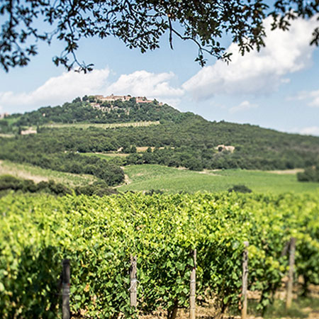 Tenuta Campogiovanni Tenuta Campogiovanni image