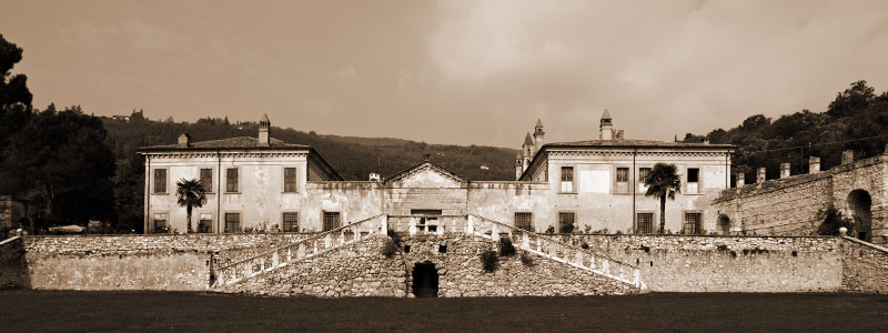 Allegrini Allegrini image