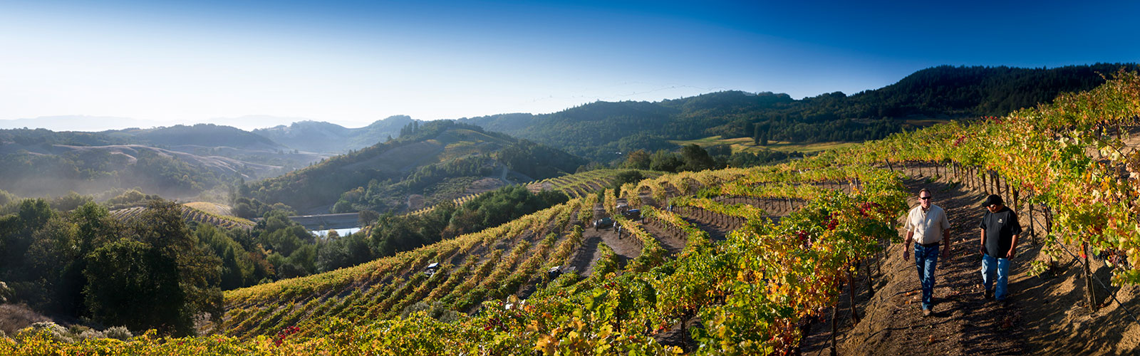 Amalaya Winery Amalaya Winery image