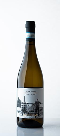 Contesa Pecorino Contesa Pecorino