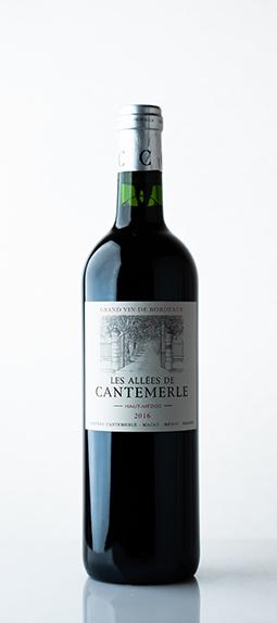 Les Allees De Cantemerle Les Allees De Cantemerle