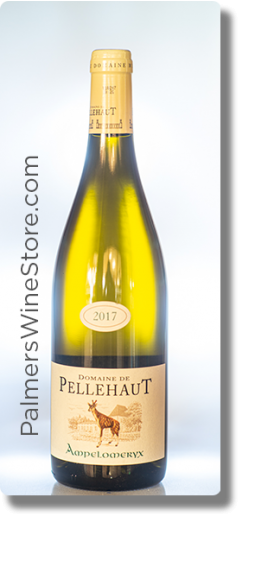 Ampelomeryx Domaine de Pellehaut