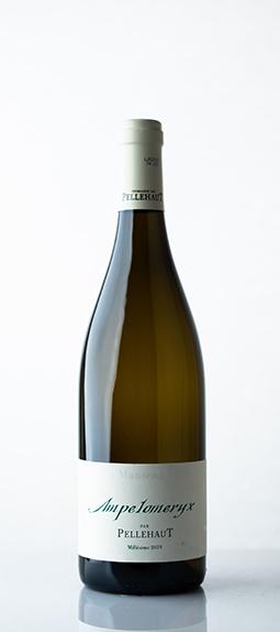 Domaine de Pellehaut Ampelomeryx Blanc