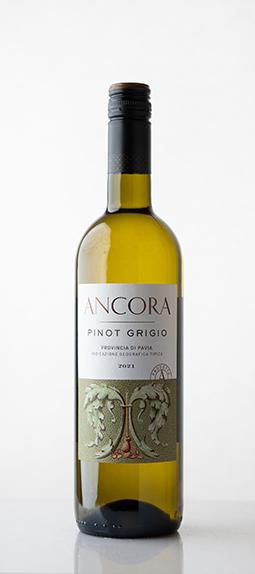 Ancora Pinot Grigio, IGT Provincia di Pavia
