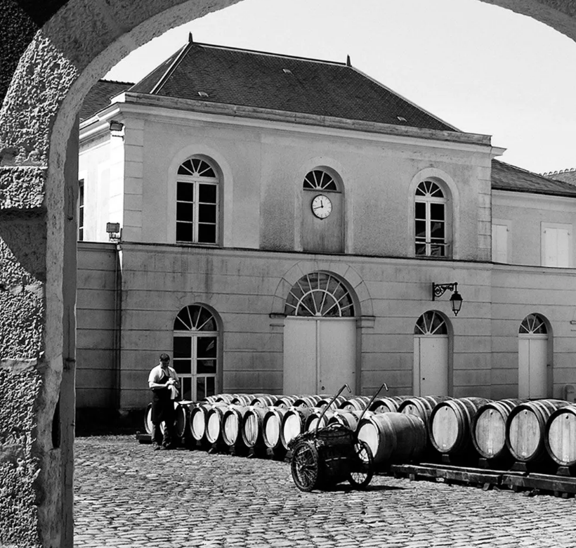 Bollinger Bollinger image