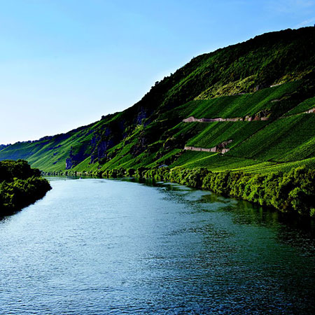 Bischofliche Weinguter Trier image