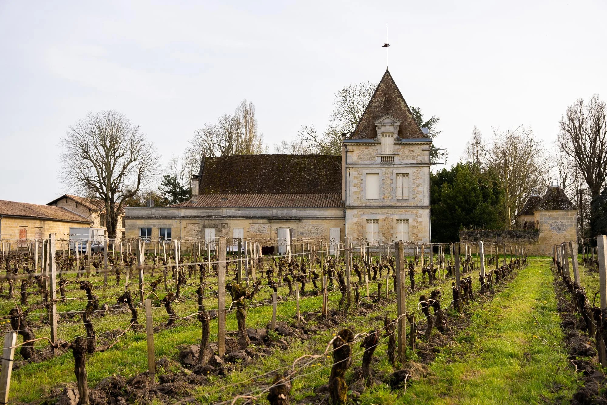 Chateau de Saint Pey Chateau de Saint Pey image