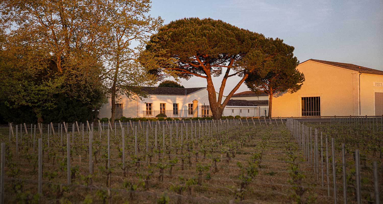 Chateau Fieuzal Chateau Fieuzal image