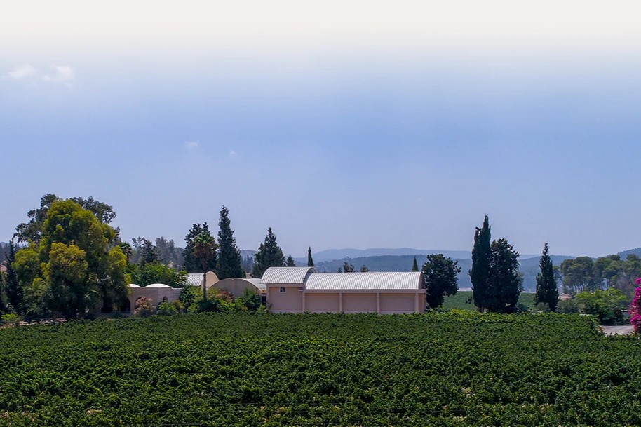 Clos de Gat image