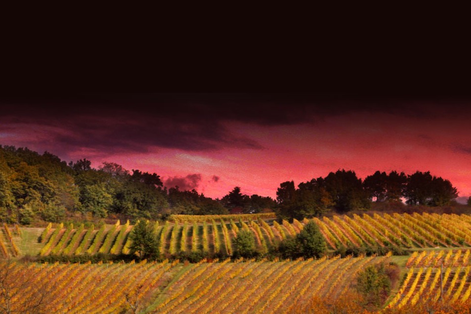 Domaine de Grange Neuve image
