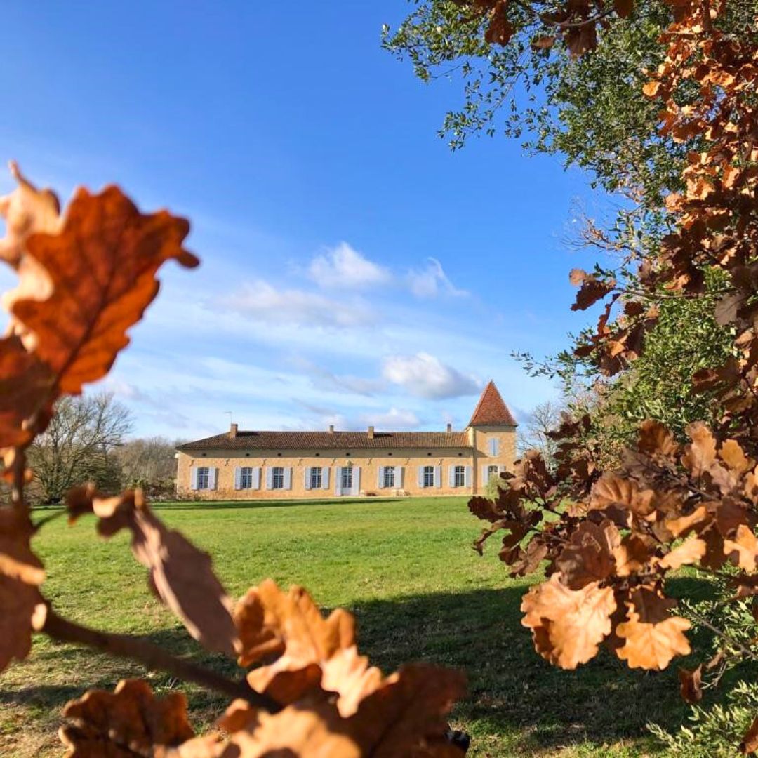 Domaine de Pellehaut Domaine de Pellehaut image