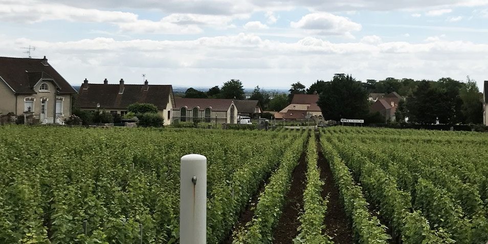 Domaine Philippe Livera Domaine Philippe Livera image