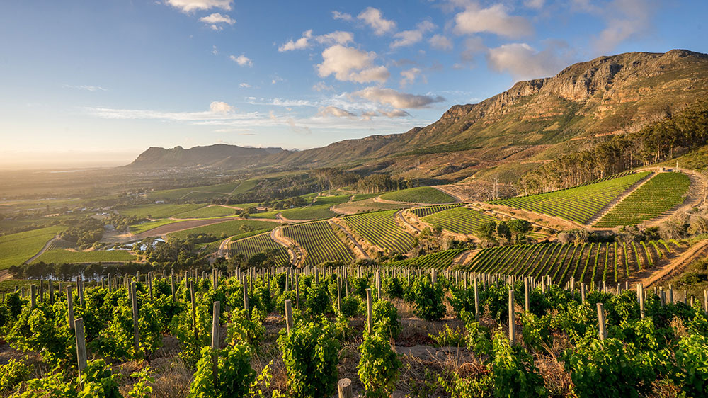 Klein Constantia Klein Constantia image