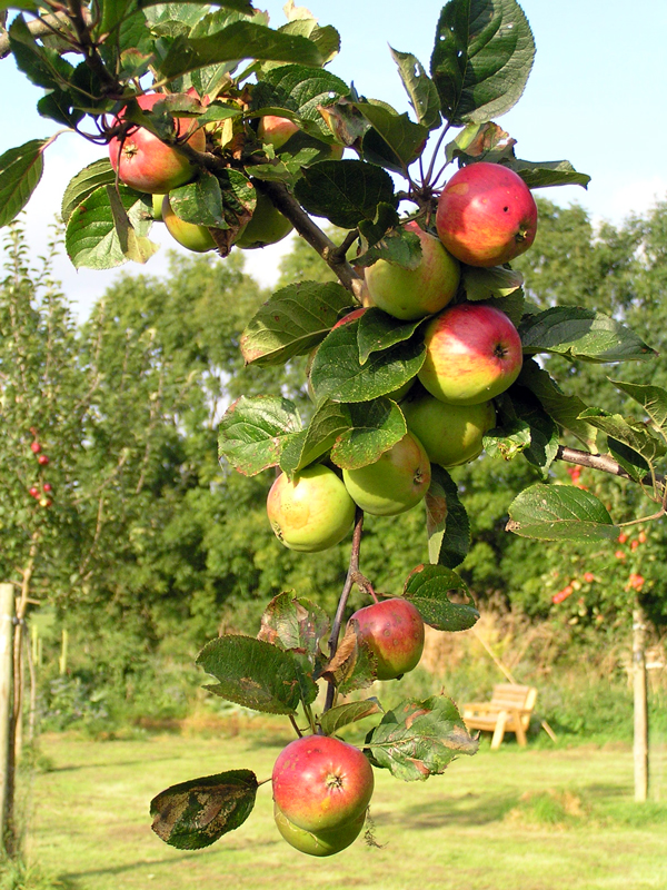 West Milton Cider Co West Milton Cider Co image