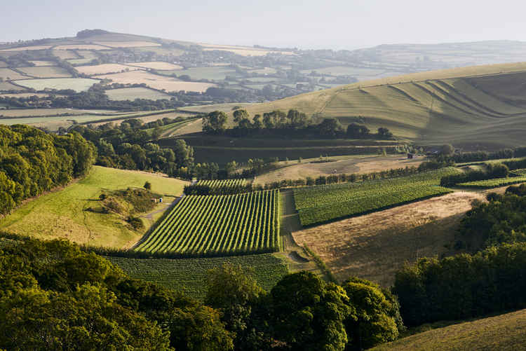 England England image