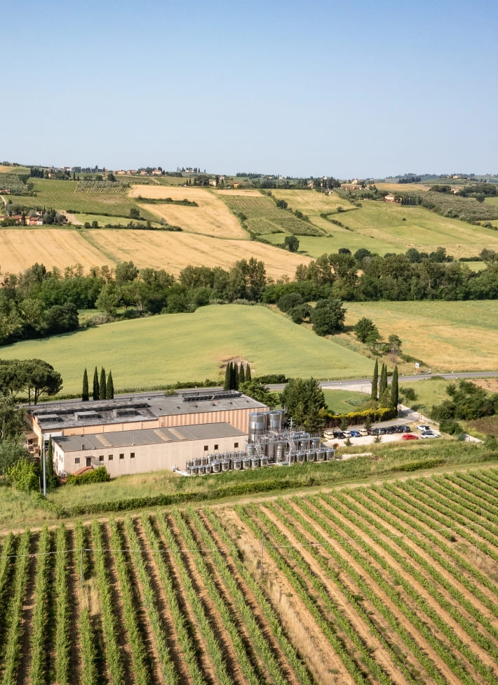 Azienda Uggiano image